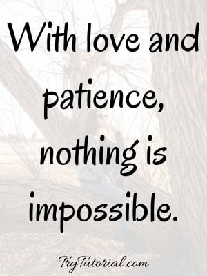 Patience Quotes About Love