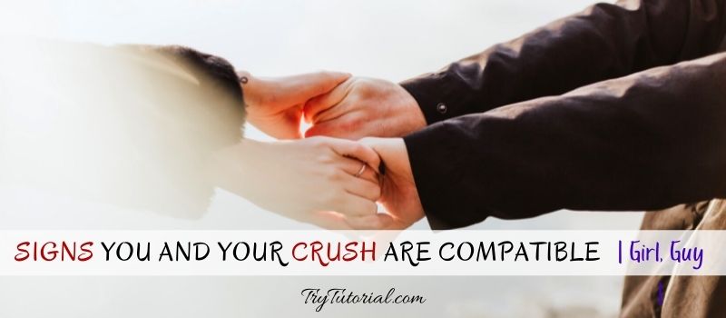 Signs You And Your Crush Are Compatible