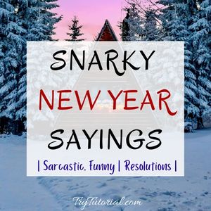 Sarcastic New Year Sayings