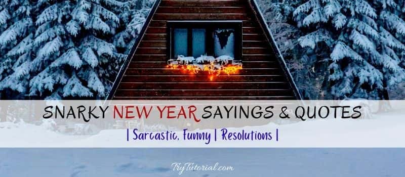 Snarky New Year Sayings