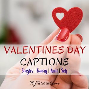 Funny Valentines Day Captions For Singles