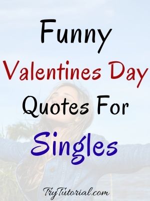 Funny Valentines Day Quotes For Singles
