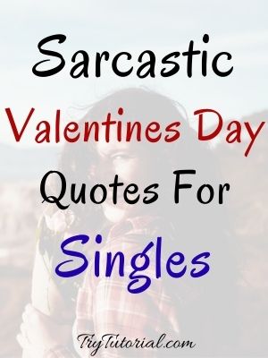 80+ Valentines Day Quotes For Singles | Funny, Sarcastic, Happy 2023 |  TryTutorial