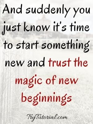 Trust The Magic Of New Beginnings Quotes