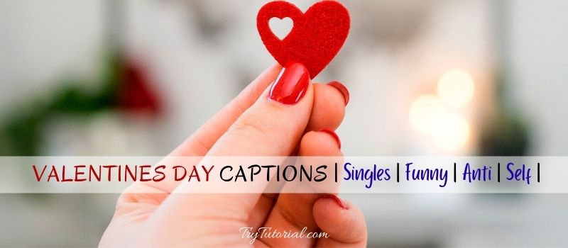 90+ Best Valentines Day Captions | Singles | Funny | Anti | Self 2023 |  TryTutorial
