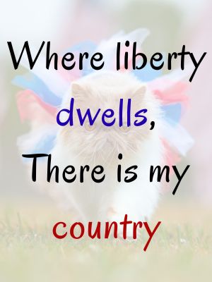 Best 4th Of July Patriotic Quotes