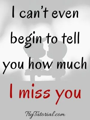  I Miss Everything About You Quotes