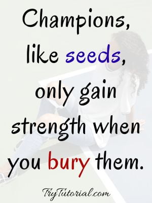 champion winning quotes