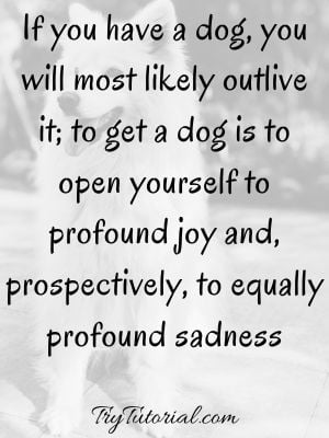 comforting words for loss of pet