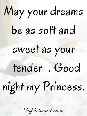 flirty good night messages for crush