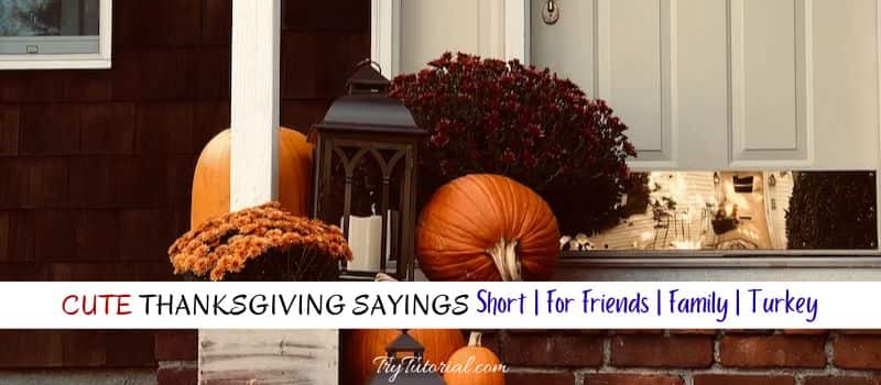 Cute Thanksgiving Sayings